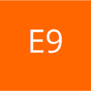 E-learning 9